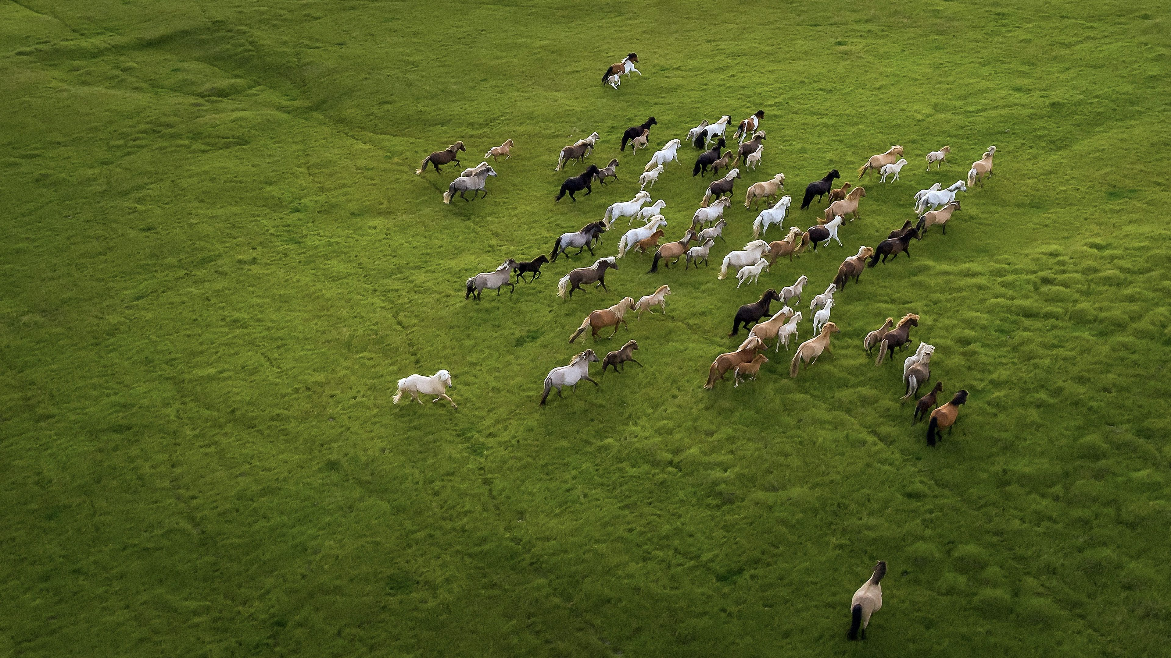 Why Your Competitors Are Outranking You (And What to Do About It)